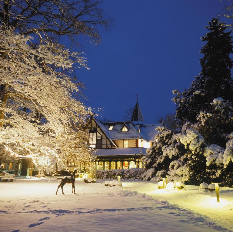 Romantik Hotel Jagdhaus Waldfrieden Bilsen Zewnętrze zdjęcie